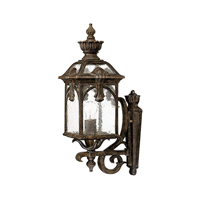 Acclaim 7101BC Belmont Collection 1-Light Wall Mount Outdoor Light Fixture, Black Coral