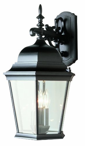 Transglobe Lighting 51002 BK Outdoor Wall Light with Beveled Glass Shades, Black Finished