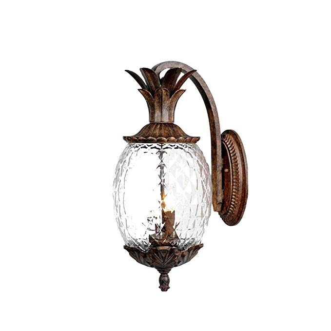 Acclaim 7502BC Lanai Collection 2-Light Wall Mount Outdoor Light Fixture, Black Coral