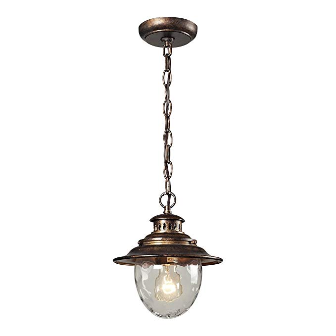 Elk 45031/1 Searsport 1-Light Outdoor Pendant with Water Glass Diffuser, 8 by 10-Inch, Regal Bronze Finish